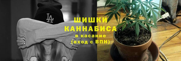бошки Белокуриха