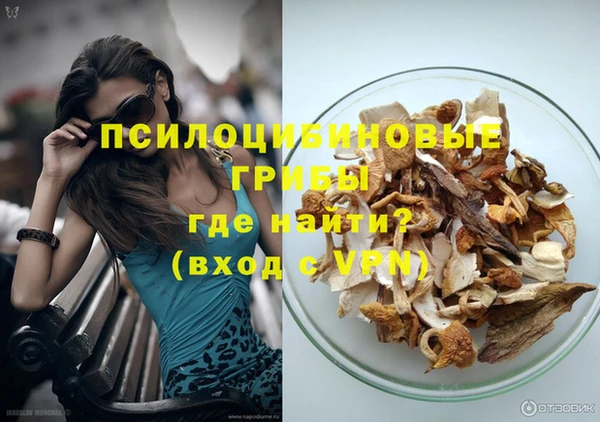 бошки Белокуриха