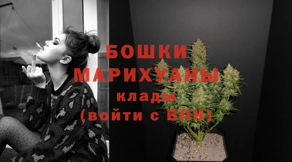 бошки Белокуриха